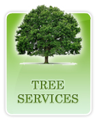 Garden Machinery in Widnes, Liverpool | Tree Services tree-services-tab.jpg, 21 kB